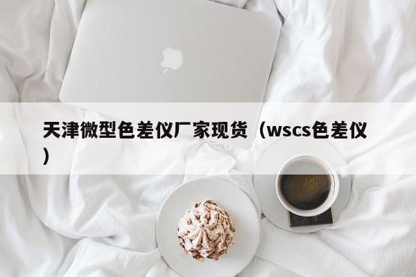 天津微型色差儀廠家現(xiàn)貨（wscs色差儀 ）